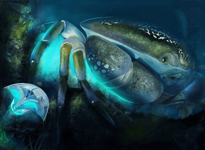 Wallpaper Сrab, cancer, Underwater World, ocean, sea, water, art, blue, Animals 321824879